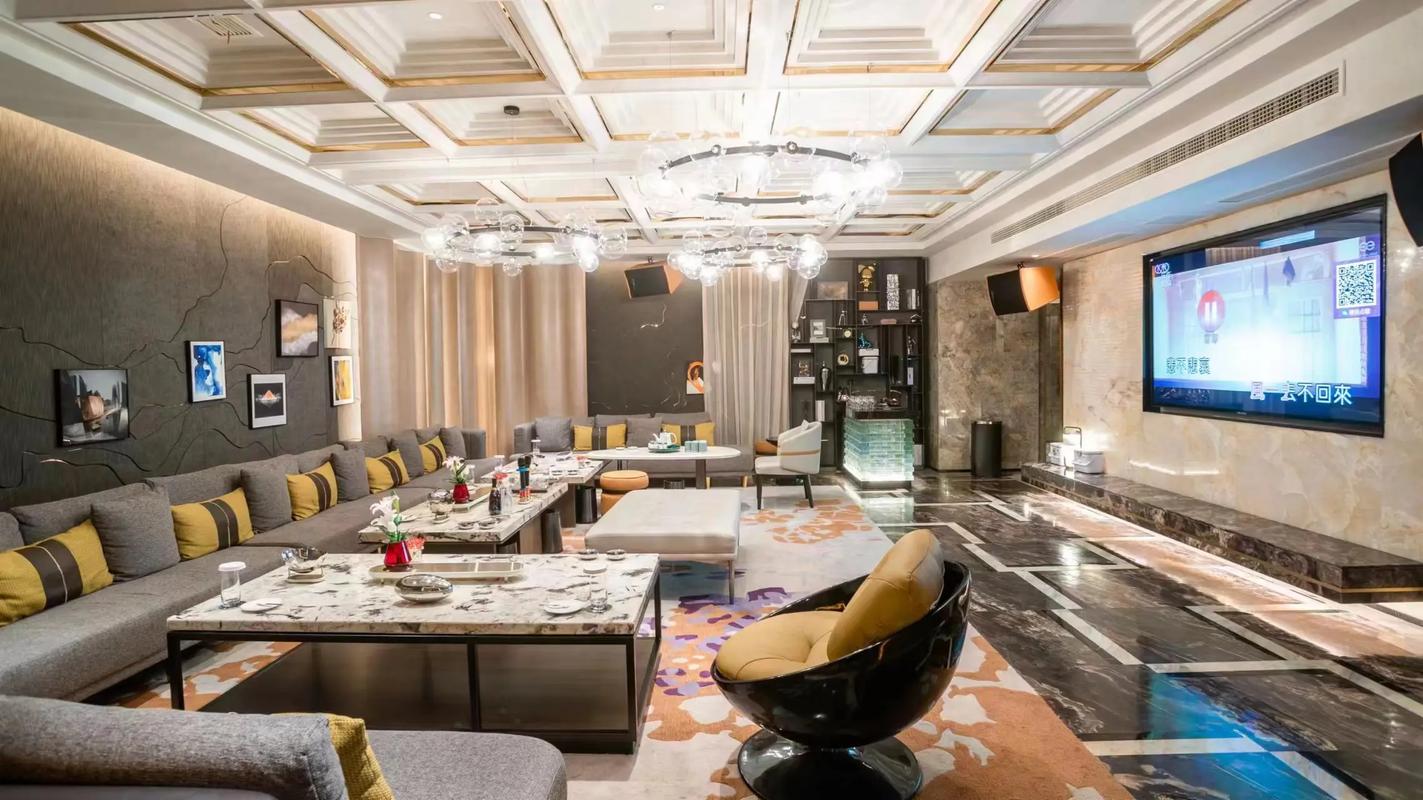 成都商务ktv专享单人商务ktv体验-邛崃市ktv预订